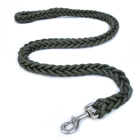 Green Super Strong Coarse Nylon Dog Leash Double Row Adjustable Collar For Medium Large Dogs - TrendyPet's Zone