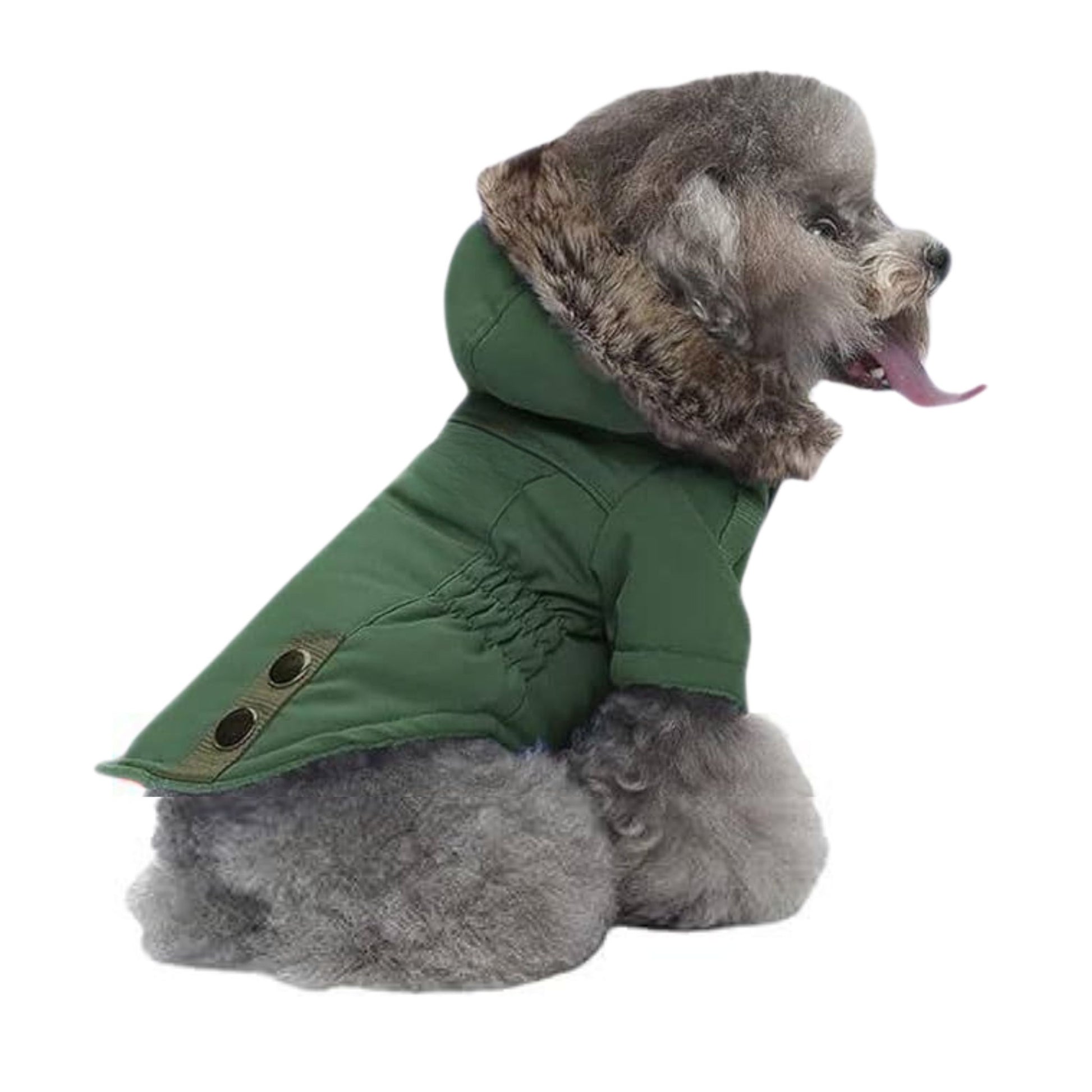 Green warm winter dog coat with hood, TrendyPet's Zone pet jacket, cozy and stylish for cold weather.
