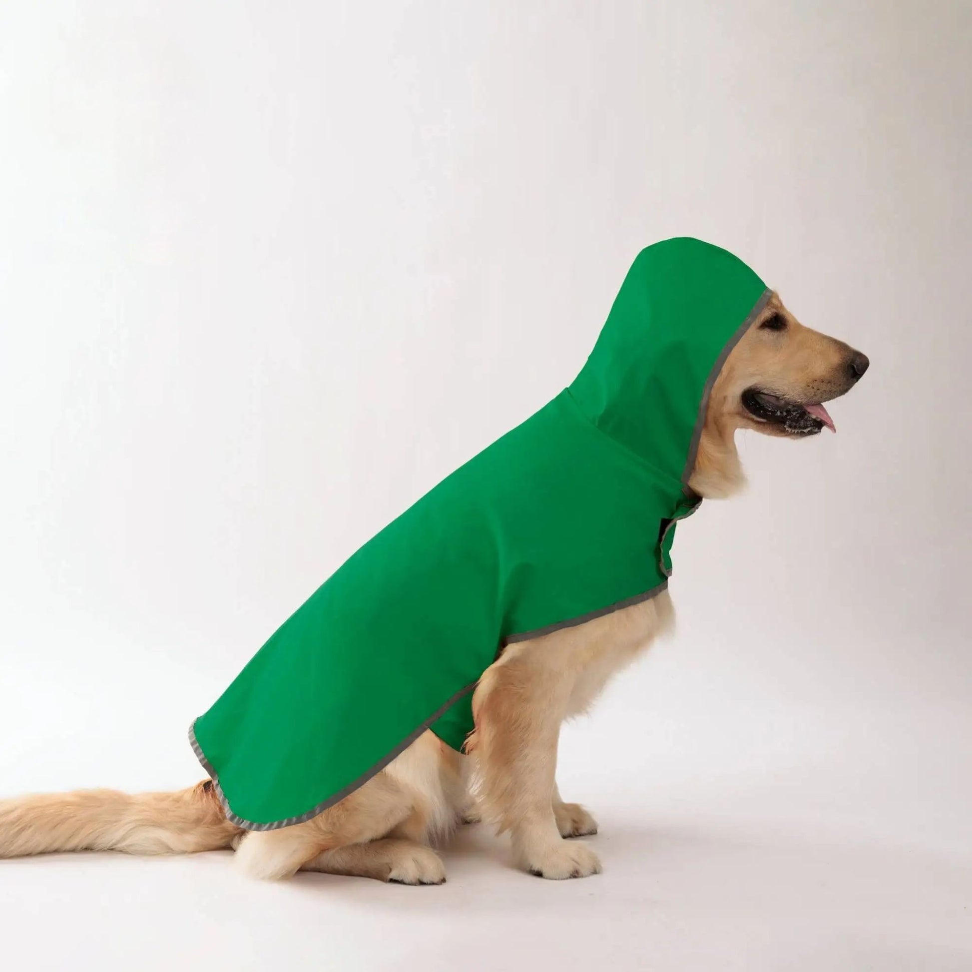 Green waterproof dog raincoat by TrendyPet's Zone with quick-adjust dual-sided design for all weather protection.