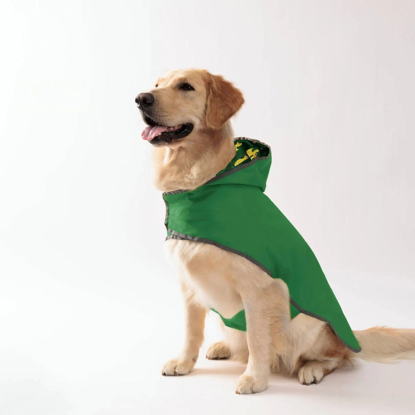 Green waterproof dog raincoat by TrendyPet's Zone with quick-adjust dual-sided design for all weather conditions.
