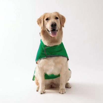 Green waterproof dog raincoat by TrendyPet's Zone with quick-adjust dual-sided design for all-weather protection.