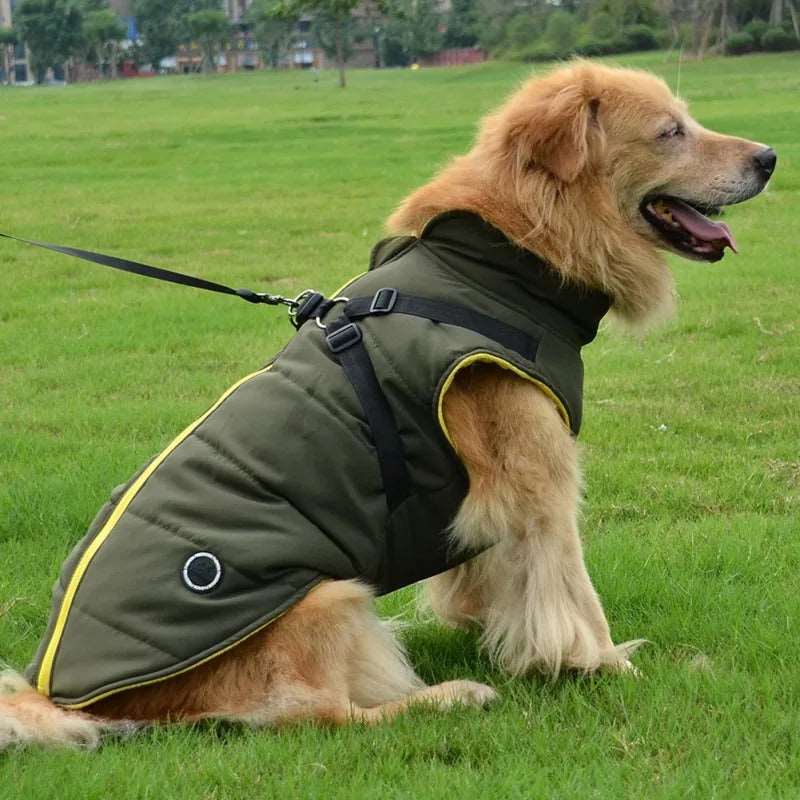 Green waterproof dog vest jacket with harness, winter coat by TrendyPet's Zone, designed for outdoor warmth and protection.