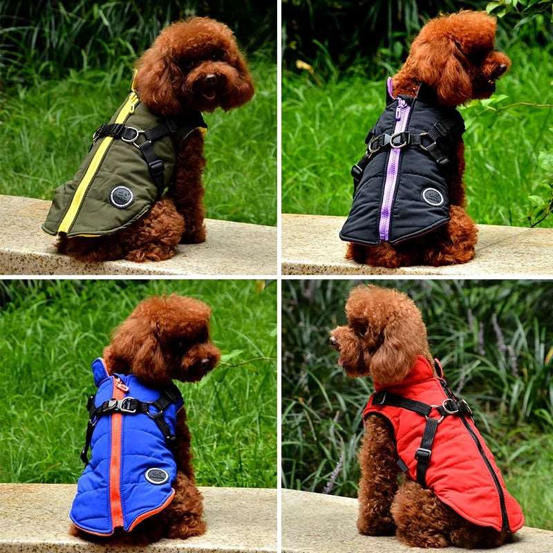 Green waterproof dog vest jacket with harness from TrendyPet's Zone, designed for winter outdoor walks and cold weather protection.