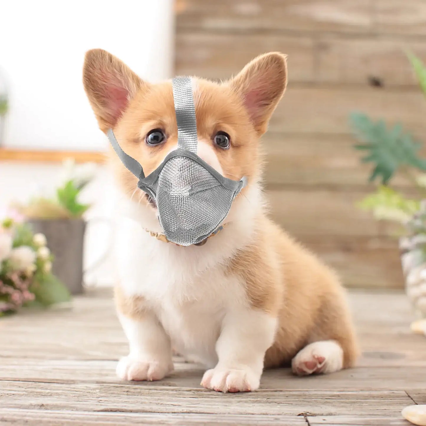 Grey Adjustable Breathable Dog Mesh Muzzle Anti-Barking Accessory TrendyPet's Zone