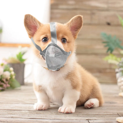 Grey Adjustable Breathable Dog Mesh Muzzle Anti-Barking Accessory TrendyPet's Zone