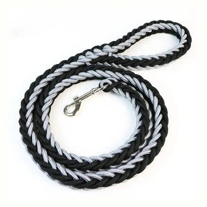 Grey Black Super Strong Coarse Nylon Dog Leash Double Row Adjustable Collar For Medium Large Dogs - TrendyPet's Zone