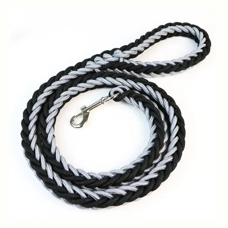 Grey Black Super Strong Coarse Nylon Dog Leash Double Row Adjustable Collar For Medium Large Dogs - TrendyPet's Zone
