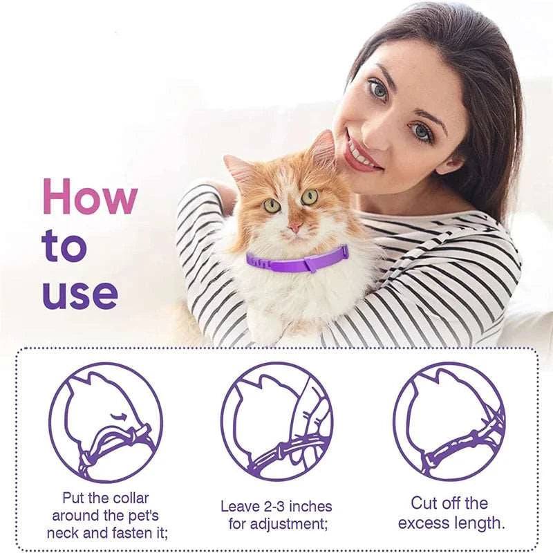 Grey Cat Calming Collar 4Packs/30Days Relieve Anxiety Protection Retractable Collars For Kitten to Large Cats TRENDYPET'S ZONE