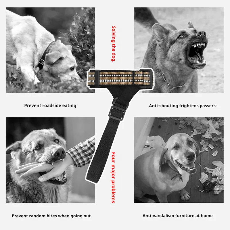 Reflective black dog muzzle by TrendyPet's Zone, designed for anti-barking, safety, and comfortable fit during walks.