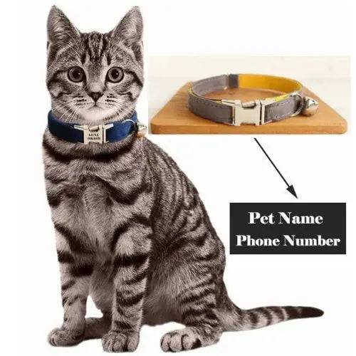 Light Brown Cat Small Dog Collar with Bell Personalized Engraving ID Tag Nameplate Kitten Collars Necklace Small Dogs Puppy Bulldog Chihuahua Yorshire - TrendyPet's Zone