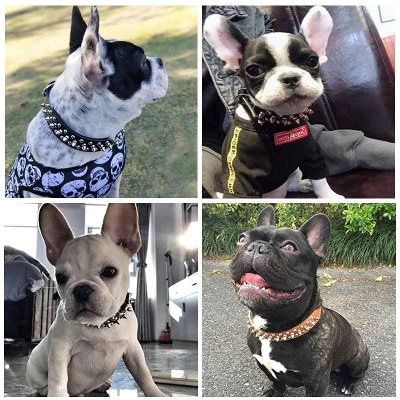 Light Brown Spiked Studded Leather Dog Collar Adjustable Anti-Bite Puppy Neck Strap Collars For Small Medium Dogs - TrendyPet's Zone