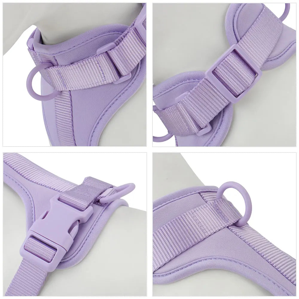 Lightweight adjustable dog harness by TrendyPet's Zone with padded straps, perfect for outdoor walks and comfortable fit.