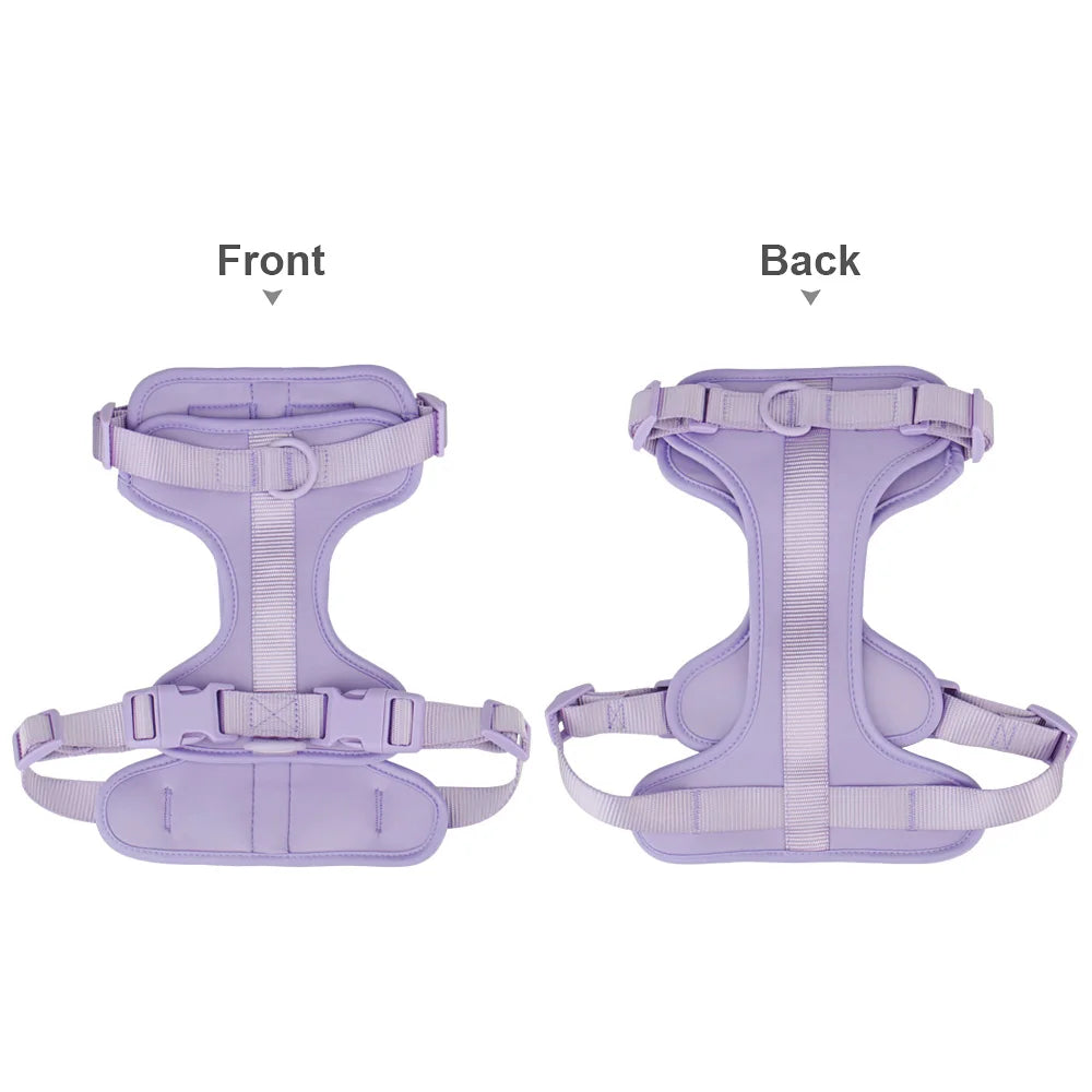 Lightweight adjustable dog harness from TrendyPet's Zone for outdoor walks, featuring padded straps and secure buckle.