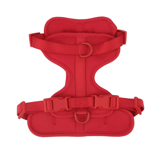 Lightweight adjustable dog harness from TrendyPet's Zone, shown in a comfortable fit on a medium-sized dog for outdoor walks.