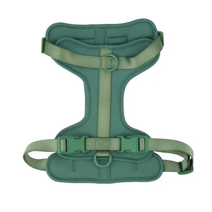 Lightweight adjustable dog harness from TrendyPet's Zone, suitable for outdoor walks, with padded straps and secure buckles.