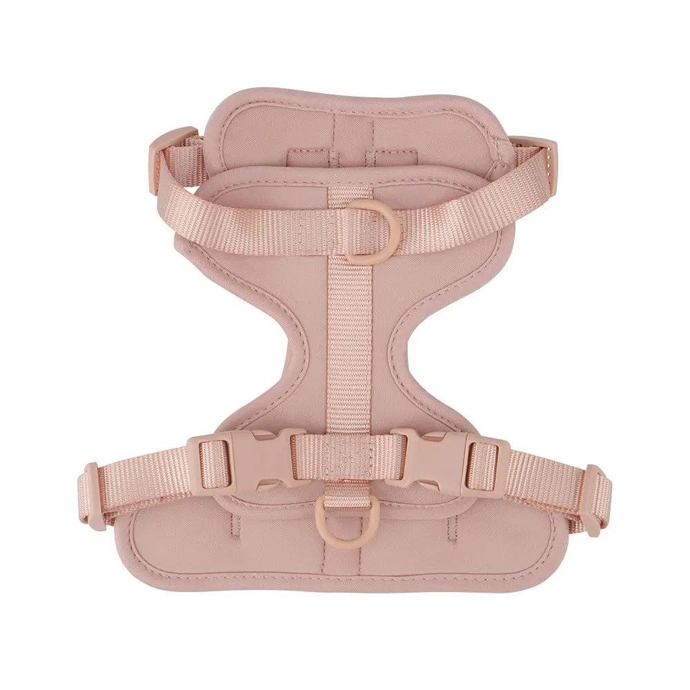 Lightweight adjustable dog harness from TrendyPet's Zone, designed for outdoor walks, with padded straps and secure buckle.