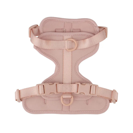 Lightweight adjustable dog harness from TrendyPet's Zone, designed for outdoor walks, with padded straps and secure buckle.