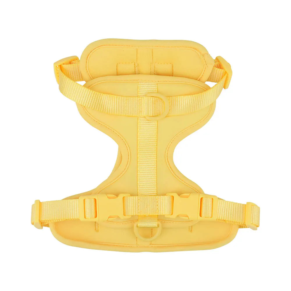 Lightweight adjustable dog harness from TrendyPet's Zone, suitable for outdoor walks, with padded straps and secure buckles.