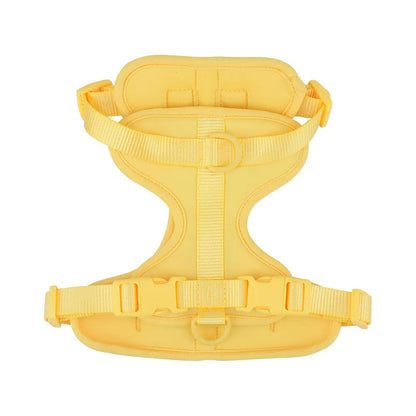 Lightweight adjustable dog harness from TrendyPet's Zone, suitable for outdoor walks, with padded straps and secure buckles.