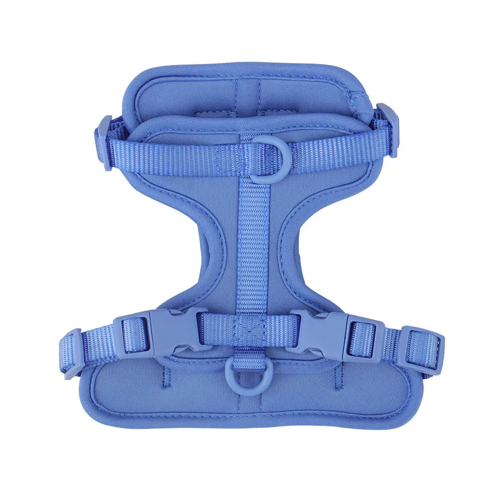 Lightweight adjustable dog harness from TrendyPet's Zone, shown on a dog, ideal for outdoor walks and outdoor activities.