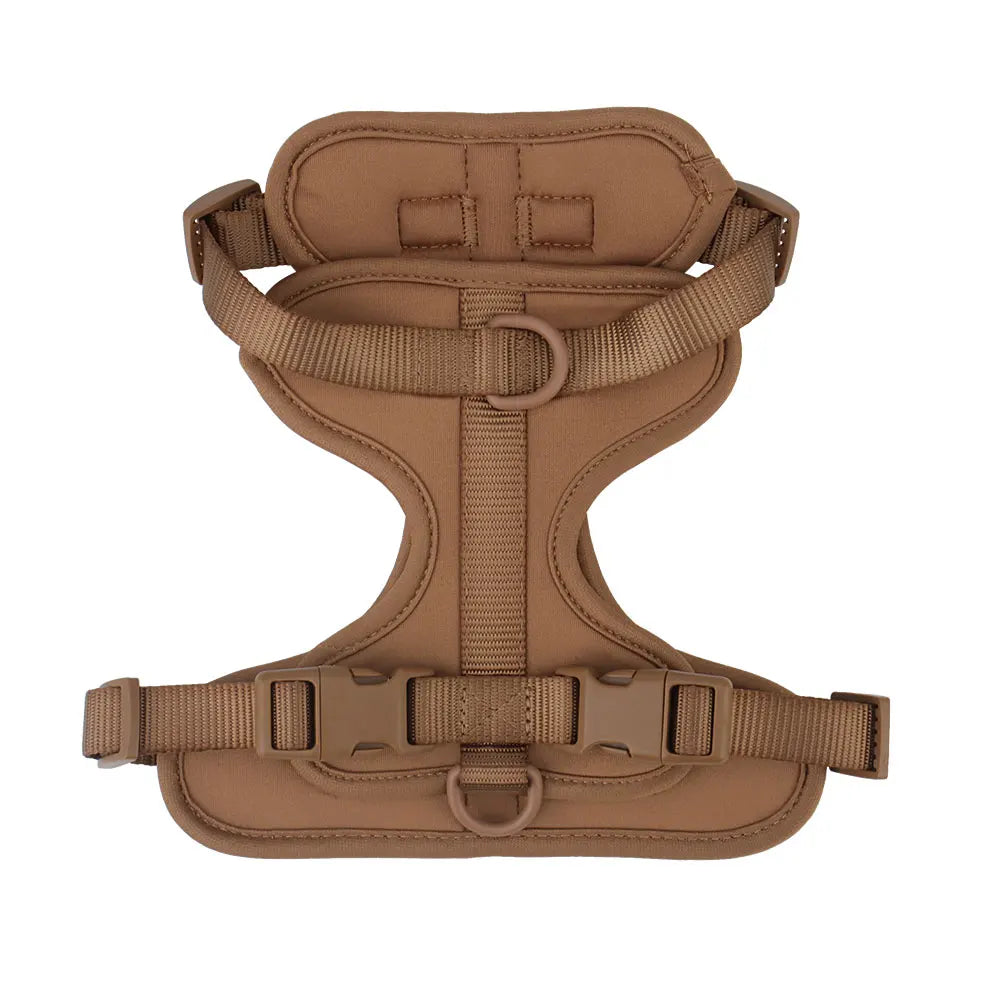 Lightweight adjustable dog harness by TrendyPet's Zone, shown on a small dog ready for outdoor walk adventures.