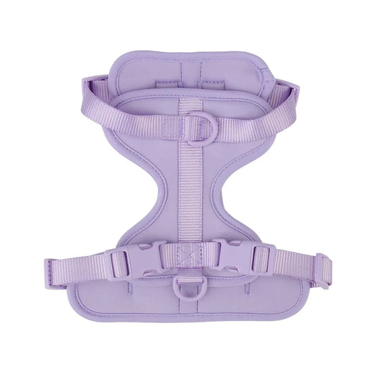 Lightweight adjustable dog harness from TrendyPet's Zone with breathable material, suitable for outdoor walks and comfortable fit.