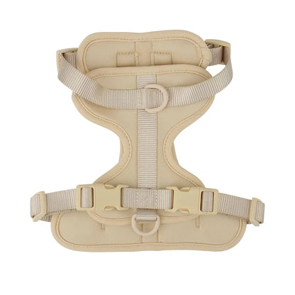 Lightweight adjustable dog harness from TrendyPet's Zone, suitable for outdoor walks, with padded straps and secure buckles.