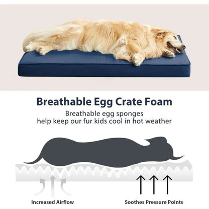 Navy Large Dog Waterproof Orthopedic Bed with Removable Cover, 47x29 x 3.5 inches TrendyPet's Zone