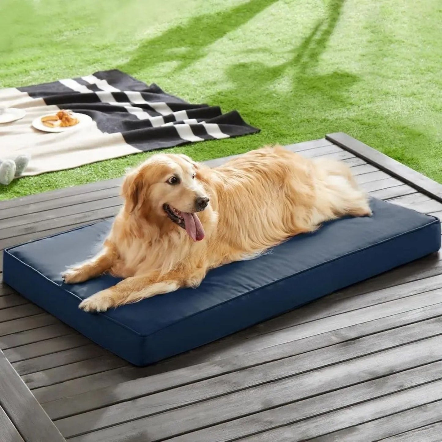 Navy Large Dog Waterproof Orthopedic Bed with Removable Cover, 47x29 x 3.5 inches TrendyPet's Zone