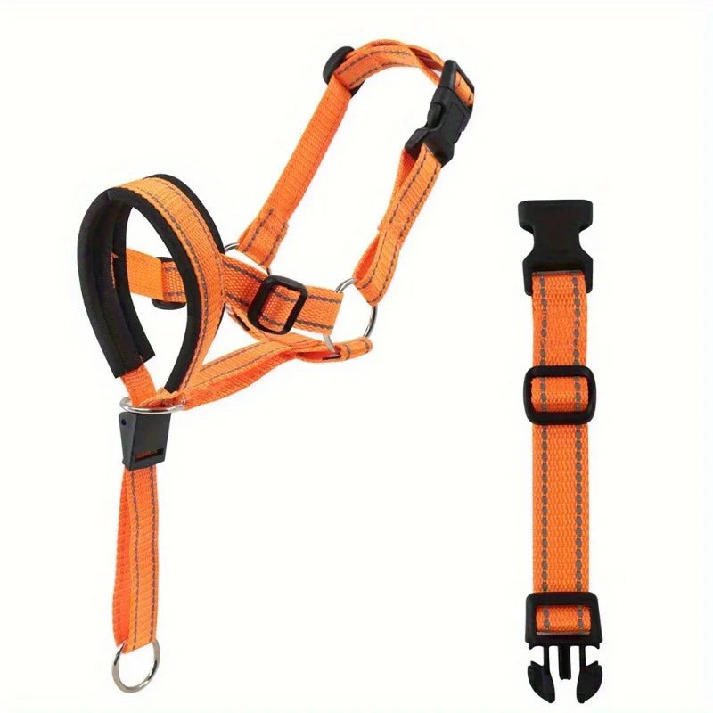 Orange adjustable nylon anti-bark dog muzzle and head halter from TrendyPet's Zone, showing the secure fit and breathable design.