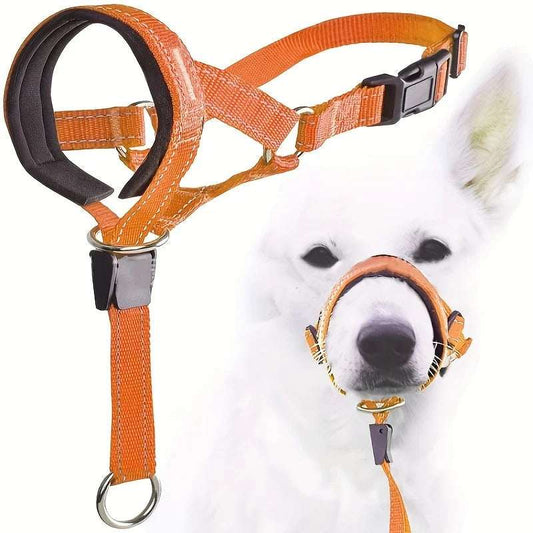 Orange adjustable nylon anti-bark dog muzzle and head halter, designed by TrendyPet's Zone for training and control.