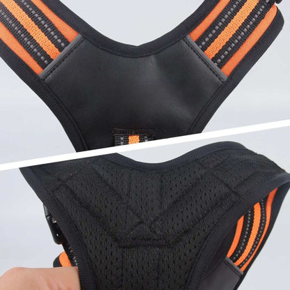 Orange adjustable reflective dog harness with soft padding, no-pull design, suitable for medium to large dogs, by TrendyPet's Zone.