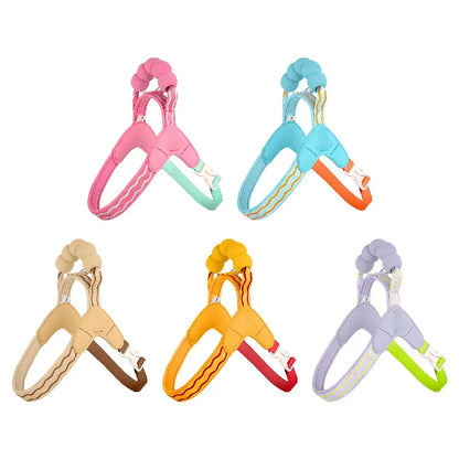 TrendyPet's Zone khaki escape-proof dog harness and leash set with reflective stitching for all dog sizes on a walking trail.
