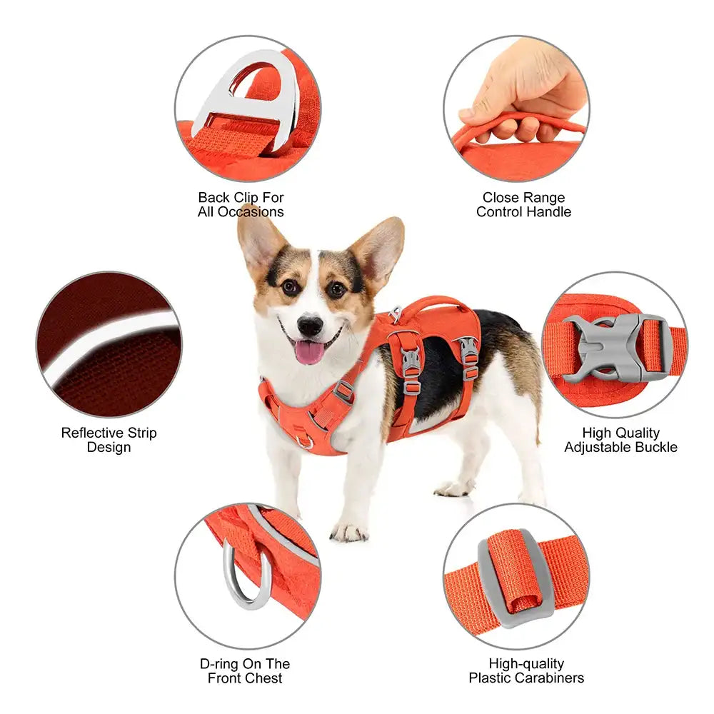 Orange Escape-Proof Reflective Dog Harness by TrendyPet's Zone, showing adjustable straps and durable, bright orange material.