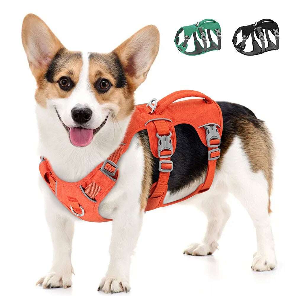 Orange escape-proof reflective dog harness by TrendyPet's Zone, durable and adjustable for secure outdoor walks.