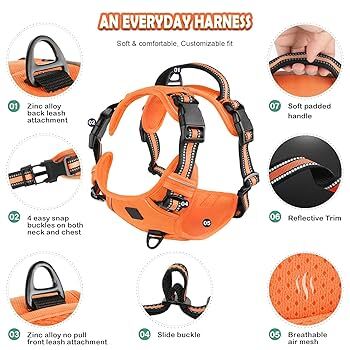 Orange no-pull adjustable dog harness with easy control handle from TrendyPet's Zone, designed for comfortable walking and easy handling.