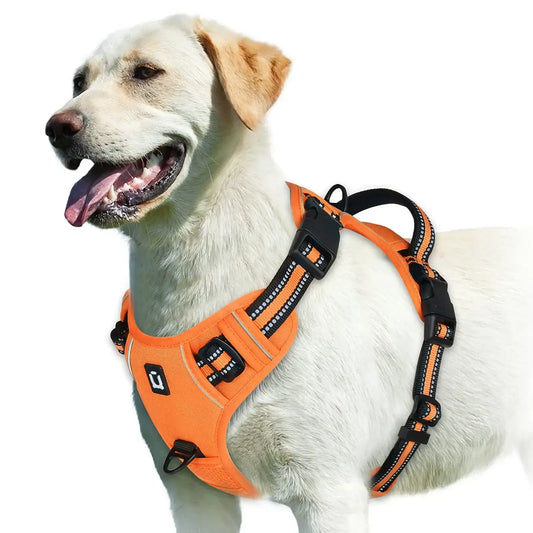 Orange adjustable dog harness with easy control handle, no-pull design by TrendyPet's Zone, suitable for active pets.