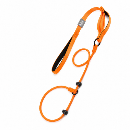 Orange nylon no-pull dog walking leash with dual handles and slip design from TrendyPet's Zone, ideal for controlled walks.