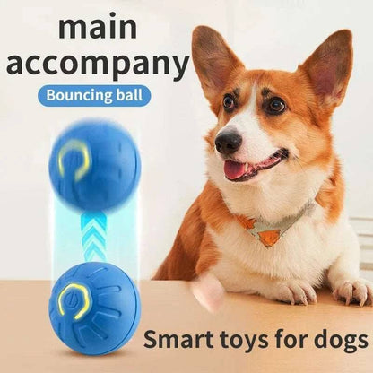 Orange Smart Dog Toy Ball Electronic Interactive Pet Moving Ball USB Automatic Bouncing for Puppy - TrendyPet's Zone