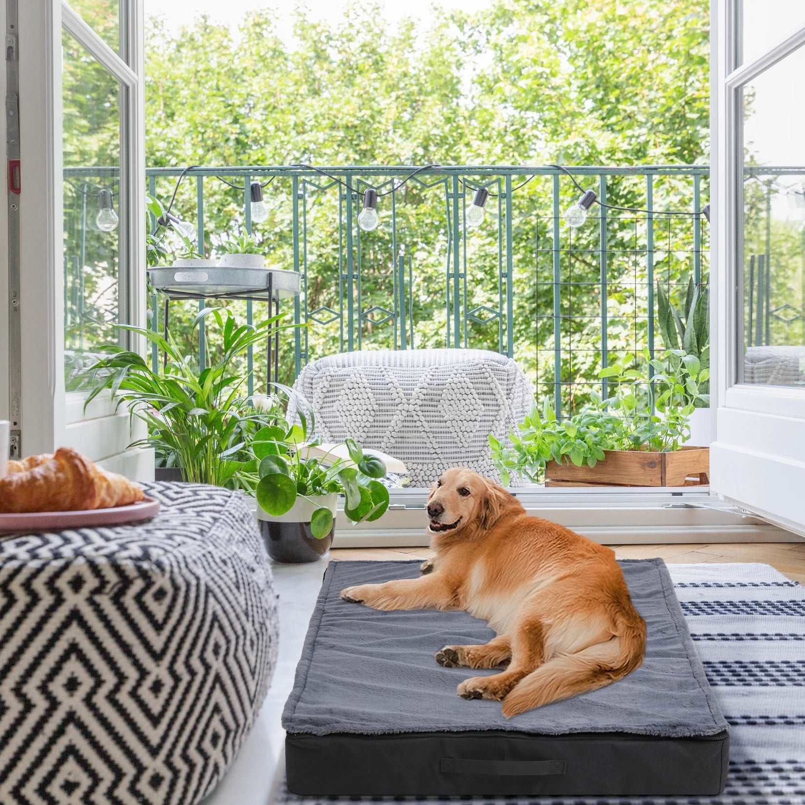 Orthopedic Bed for Dogs Waterproof Lining and Non-Slip Bottom, Machine Washable, Sizes M-2XL - TrendyPet's Zone