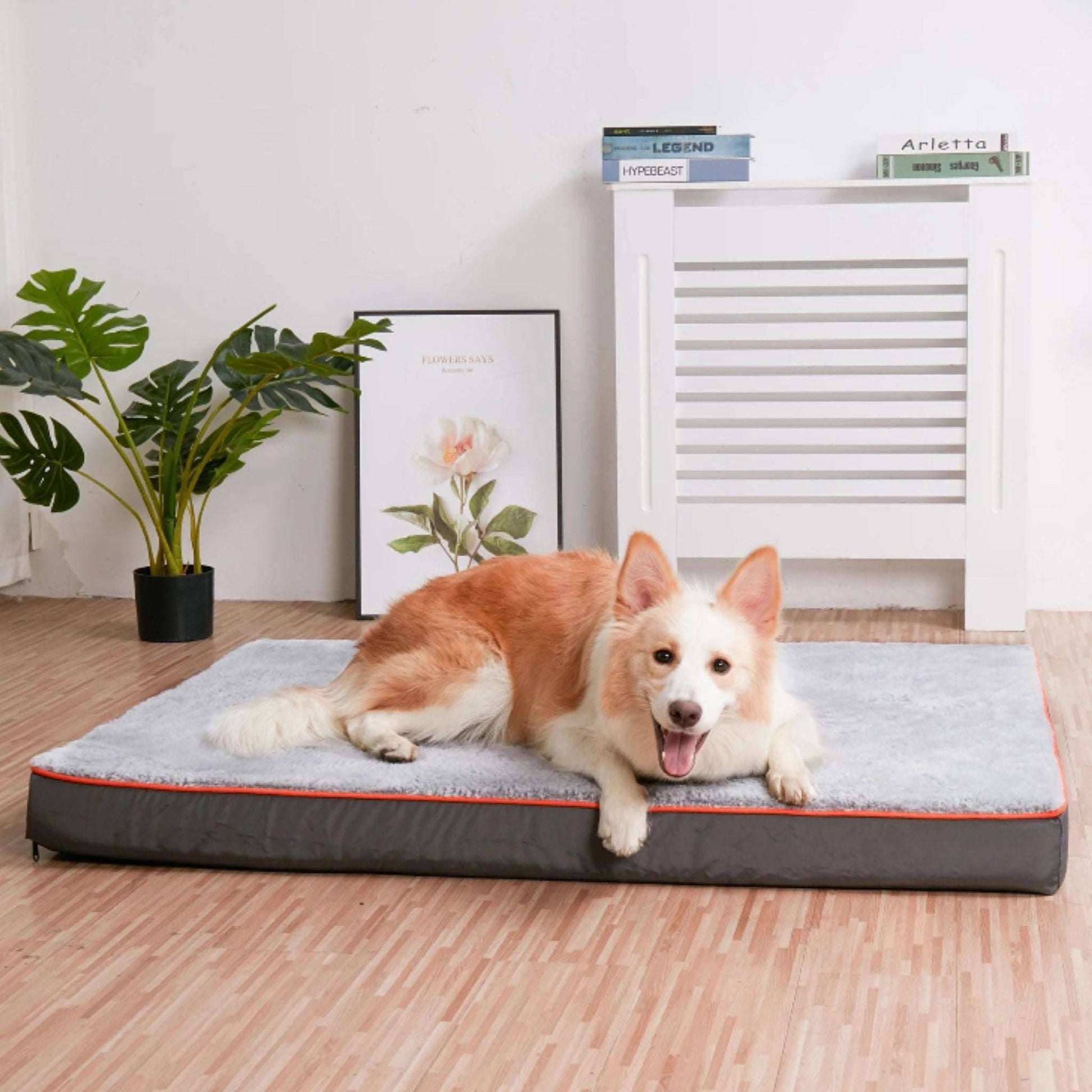 Orthopedic Dog Bed Kennel Memory Foam Waterproof Pet Bed with Removable Washable Cover Nonskid Bottom Joint Relief, Sizes M - 3XL TrendyPet's Zone