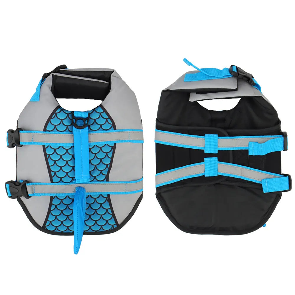 Dog wearing TrendyPet's Zone Shark swimwear pet life jacket vest, XS to XXL size, designed for swimming safety and fun.