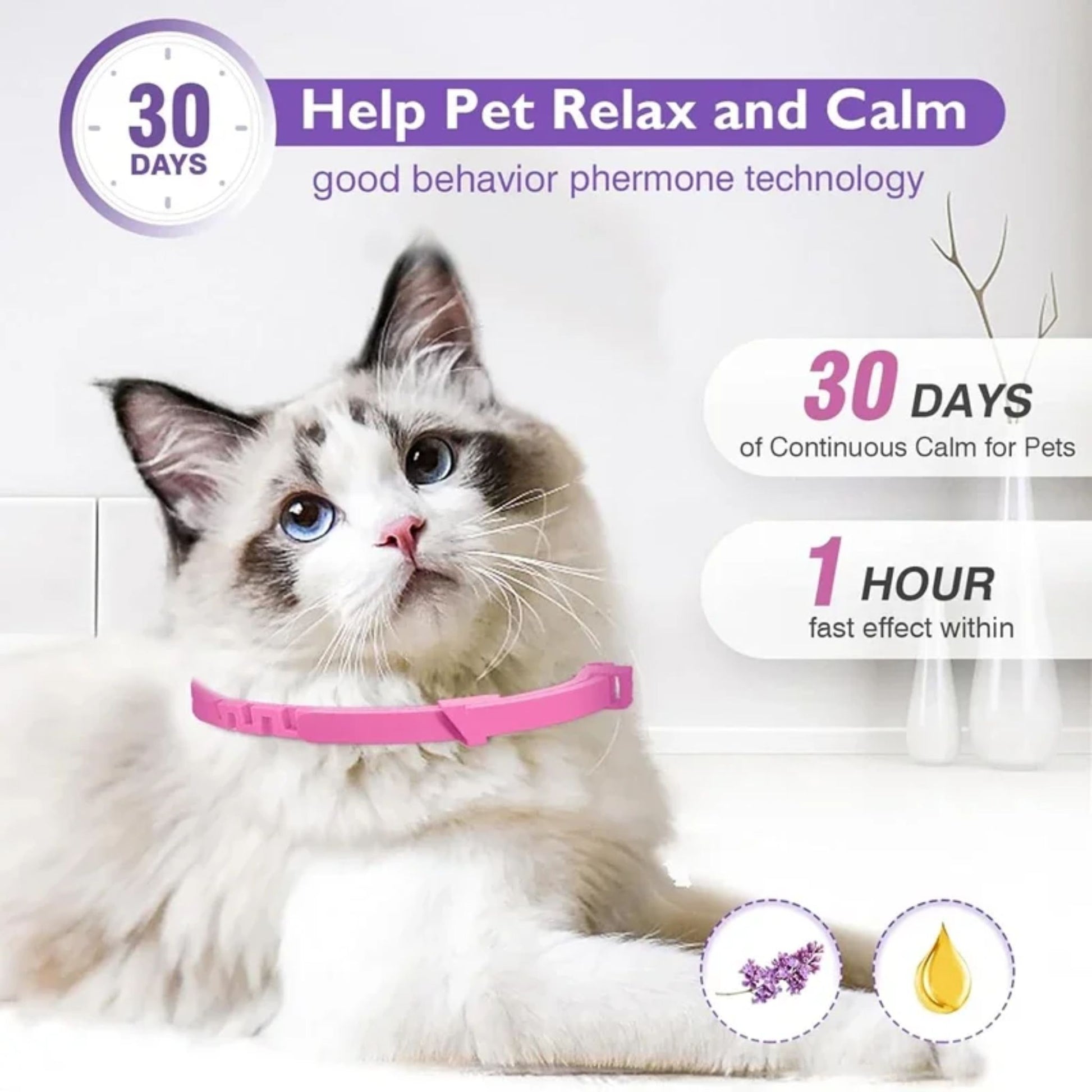 Pink cat calming collars in a 3-pack, designed to relieve anxiety for kittens and large cats, featuring retractable protection.