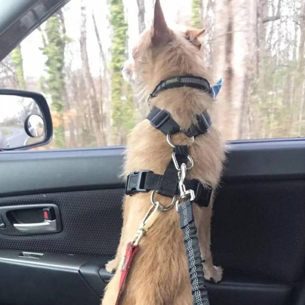 Pink Elastic Pet Supplies Car Seat Belt Dog Seat Belt Dog Leash Vehicle Belt Adjustable Cushioning Elastic Reflective Safety Rope for Dog Cat - TrendyPet's Zone