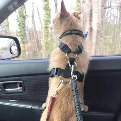 Pink Elastic Pet Supplies Car Seat Belt Dog Seat Belt Dog Leash Vehicle Belt Adjustable Cushioning Elastic Reflective Safety Rope for Dog Cat - TrendyPet's Zone