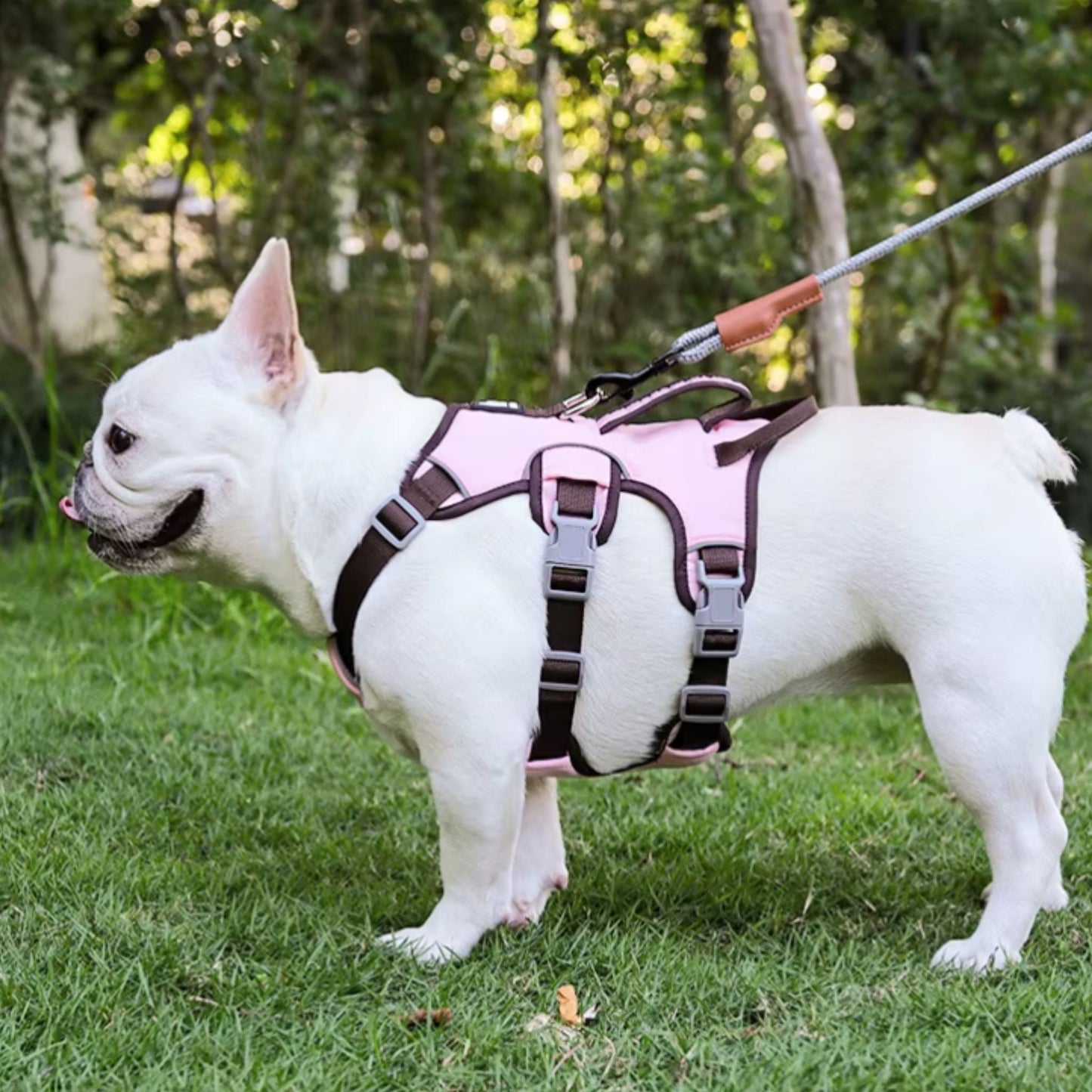 Pink reflective adjustable dog harness by TrendyPet's Zone, no-pull design for small to large dogs, breathable and outdoor-ready.