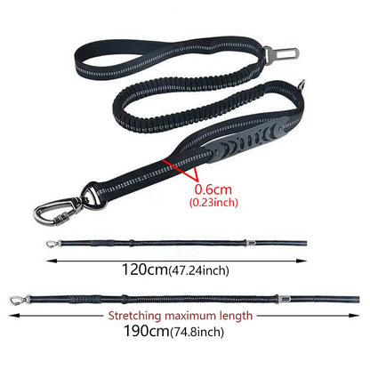 TrendyPet's Zone khaki reflective shock-absorbing dog leash with car safety buckle, designed for vehicle seat belt safety.