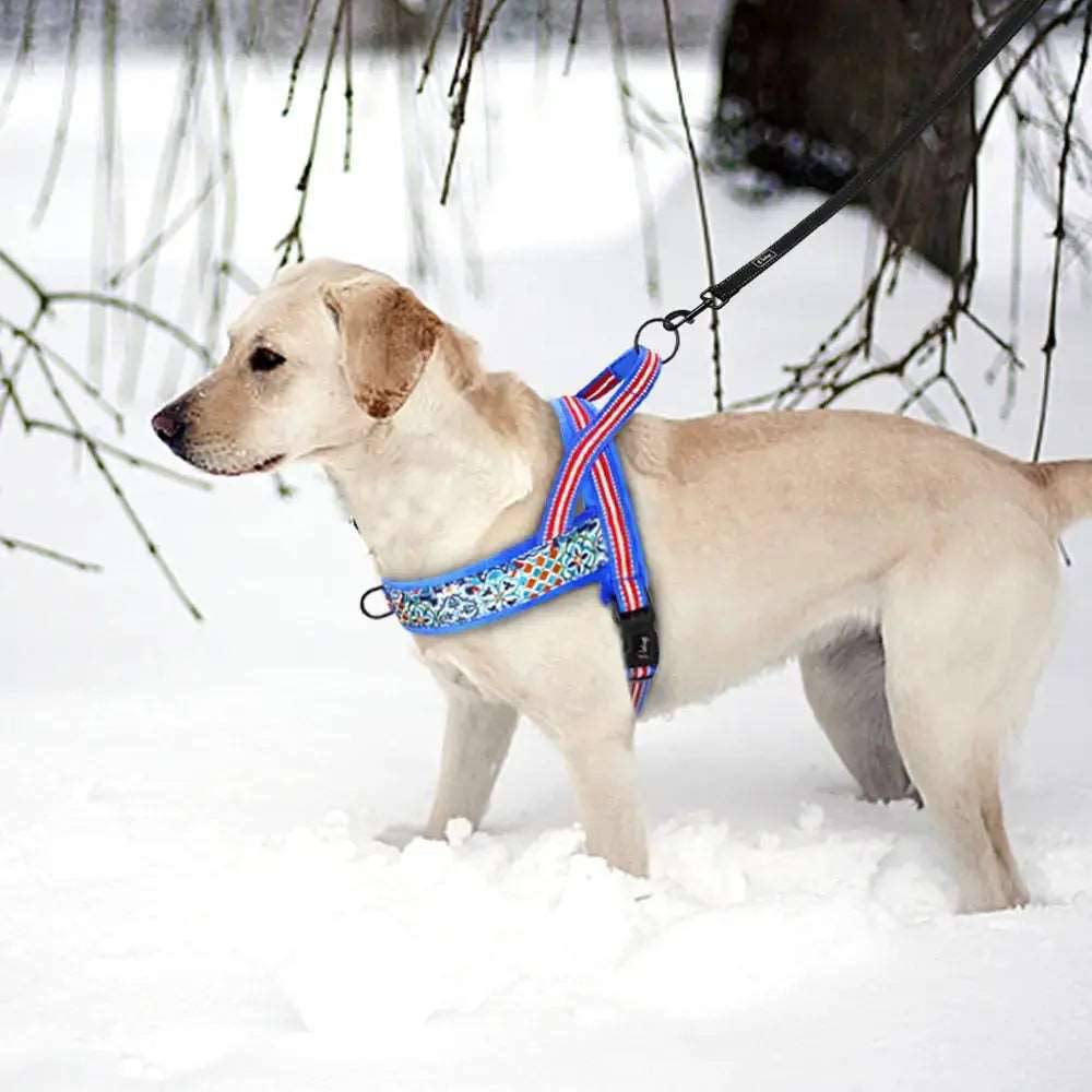 Pink With Lines Warm Harness Vest Winter Soft Padded Pet Training Adjustable For Small Large Dog Puppy - TrendyPet's Zone