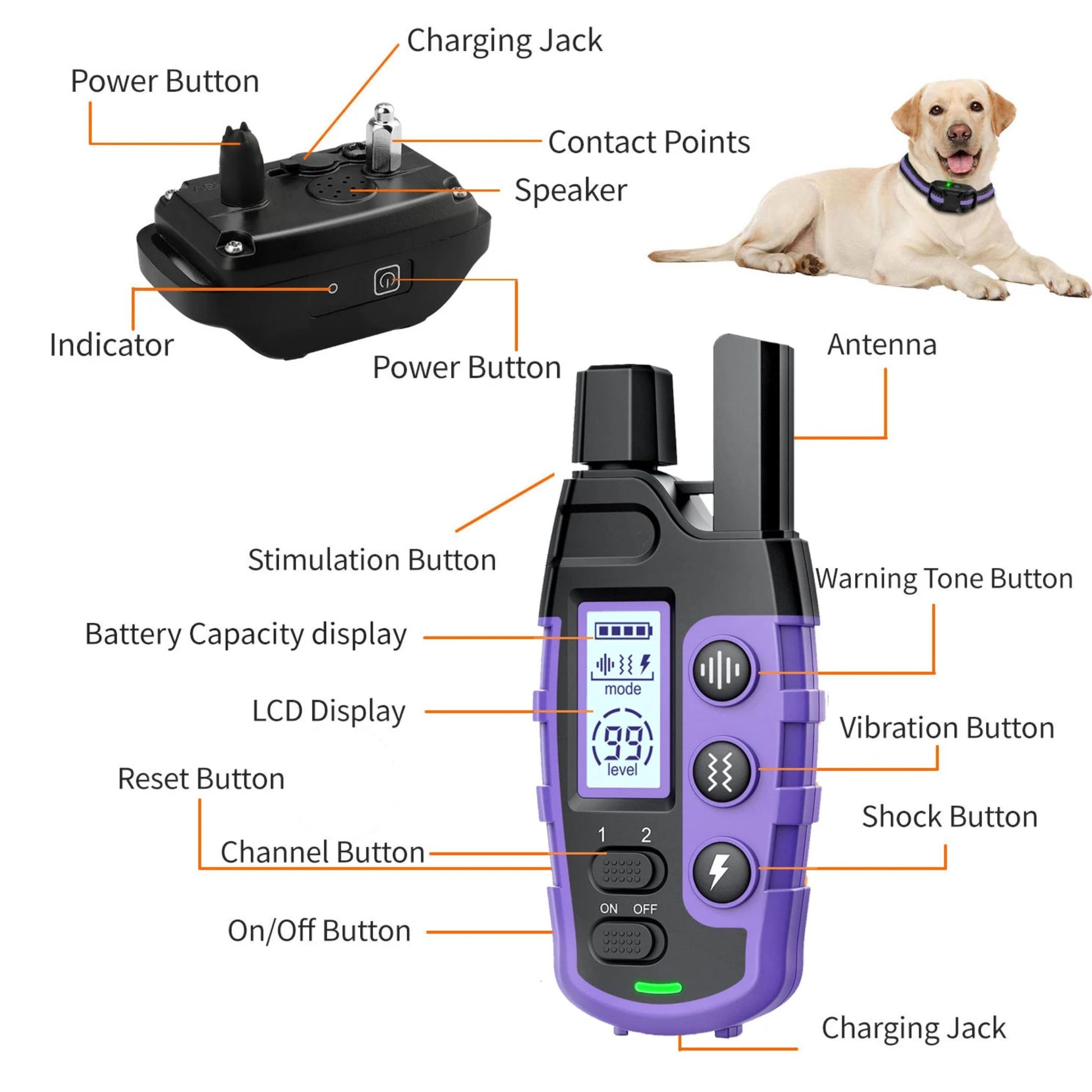 Purple TrendyPet's Zone dog training shock collar with remote, waterproof and rechargeable, designed for small to large dogs 5-120 lbs.