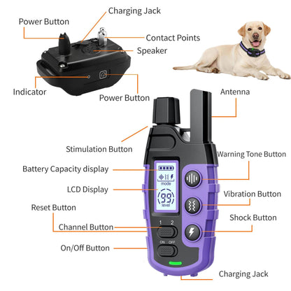 Purple TrendyPet's Zone dog training shock collar with remote, waterproof and rechargeable, designed for small to large dogs 5-120 lbs.